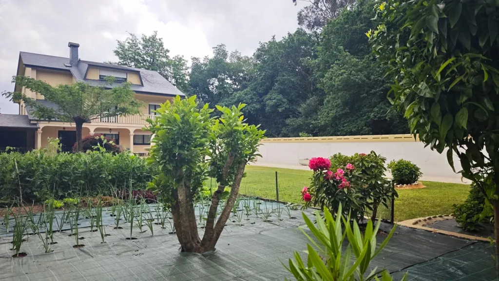 garden