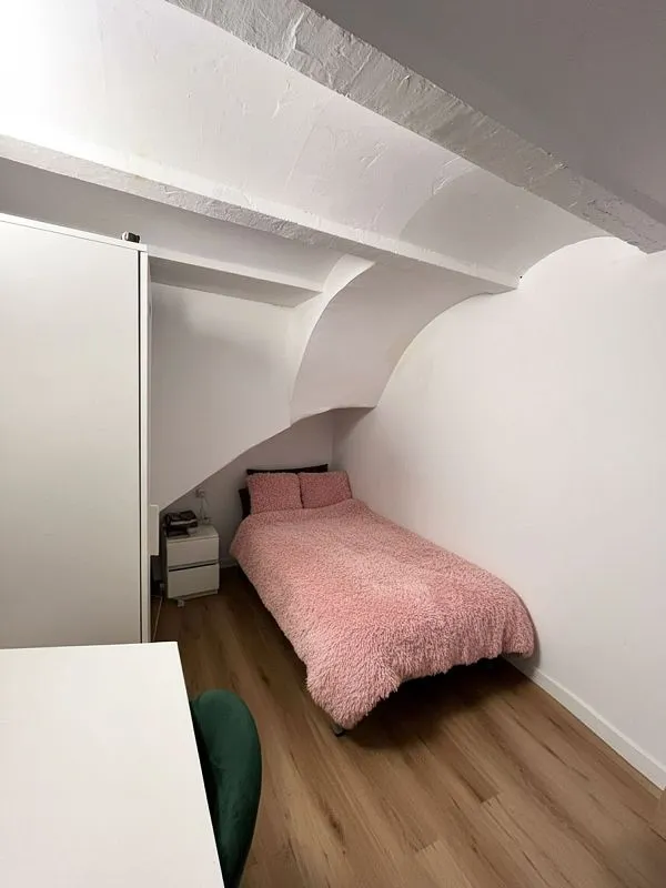 Magamistoad - Studio with Terrace in De Prague Street