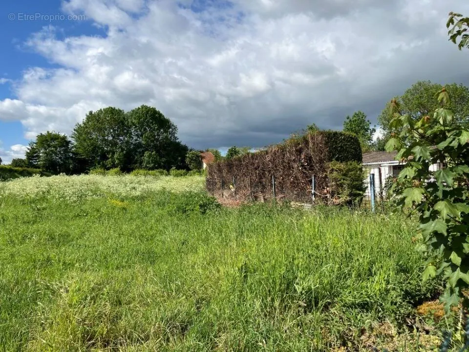 Jardin - Terrain avec Orientation Sud à Abbeville