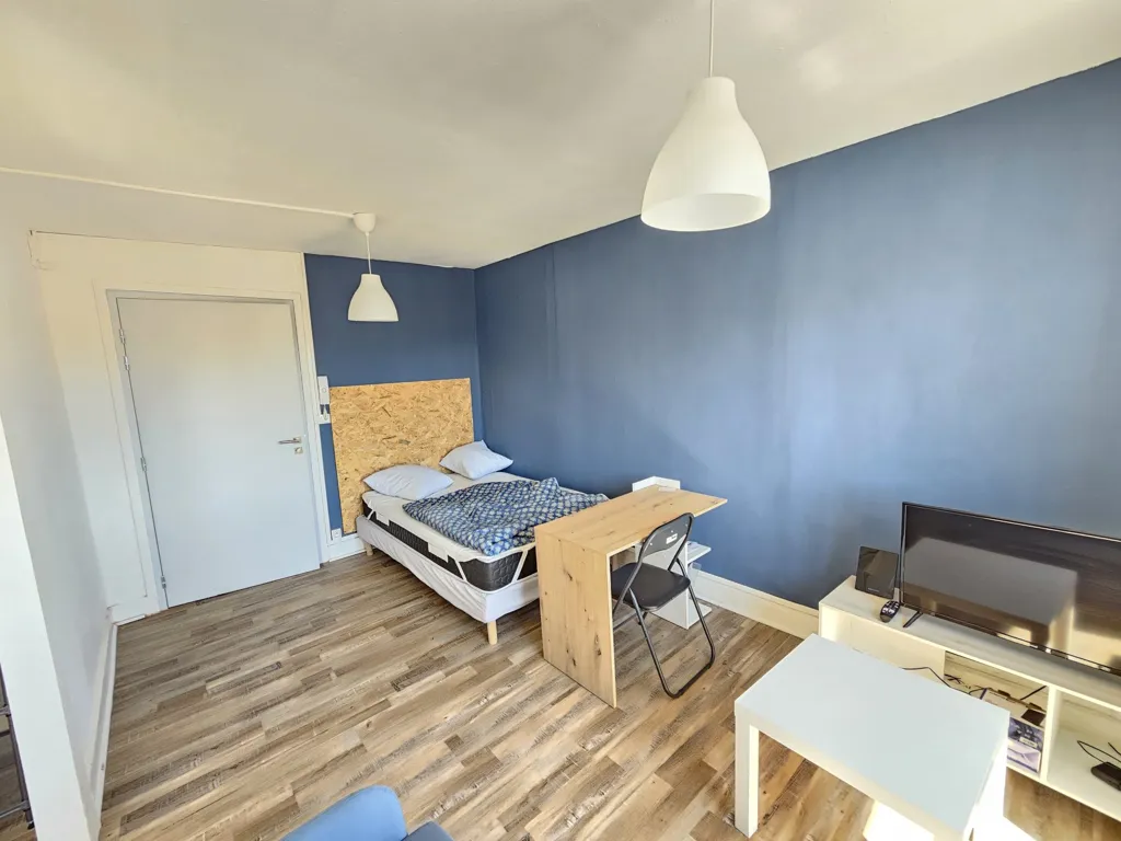 Magamistoad - Meubled Studio in Saint-Étienne