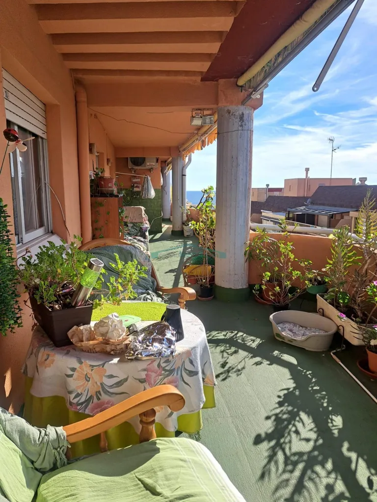 terrace_patio