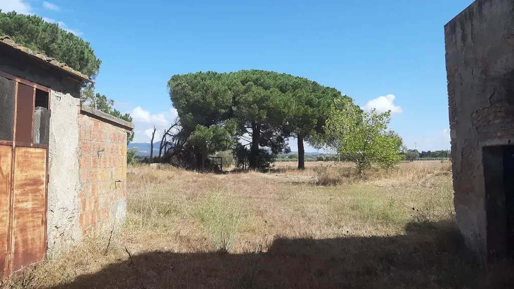 Jardin - Tuscan Farmhouse with Orchard in Rosignano Marittimo