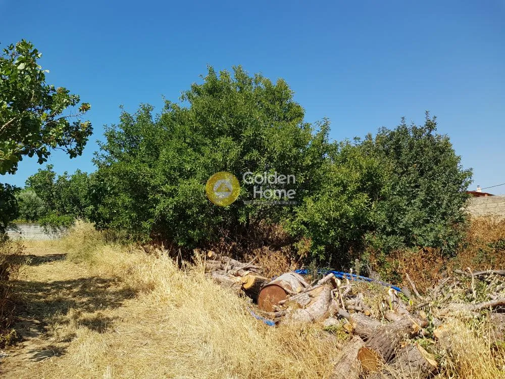 Aed - Plot for Development with Mountain View in Neos Koutavas