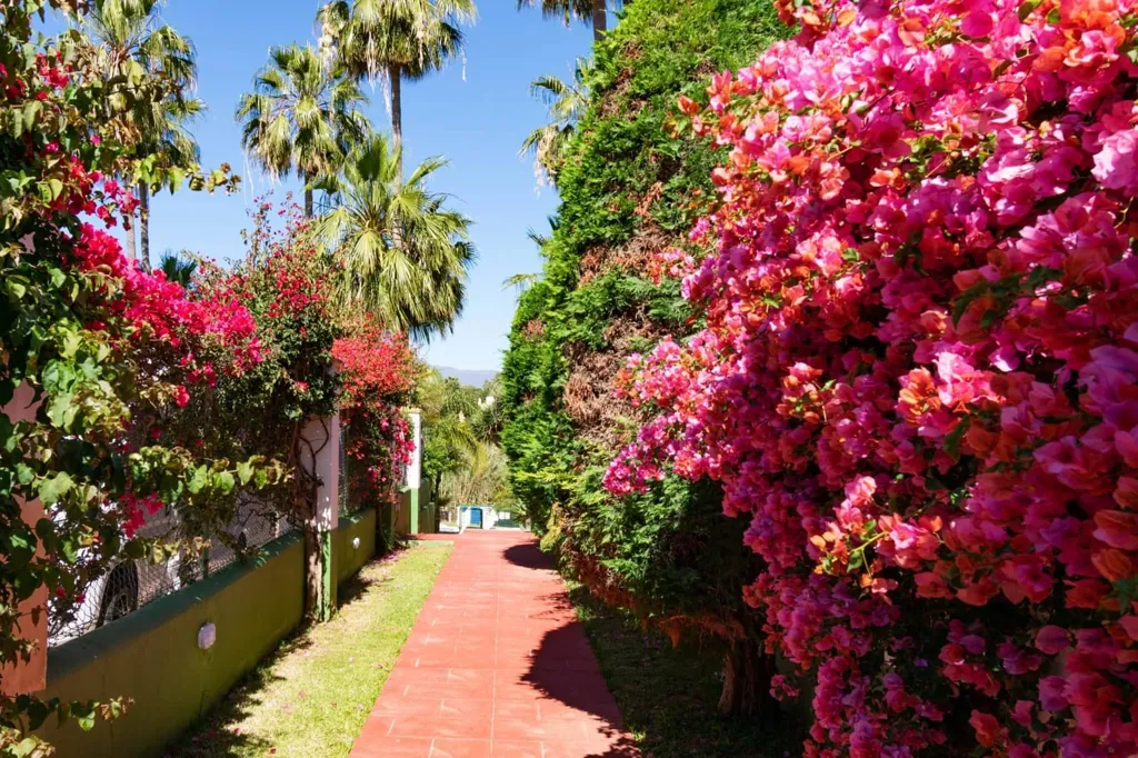 Giardino - Townhouse with Garden in Estepona