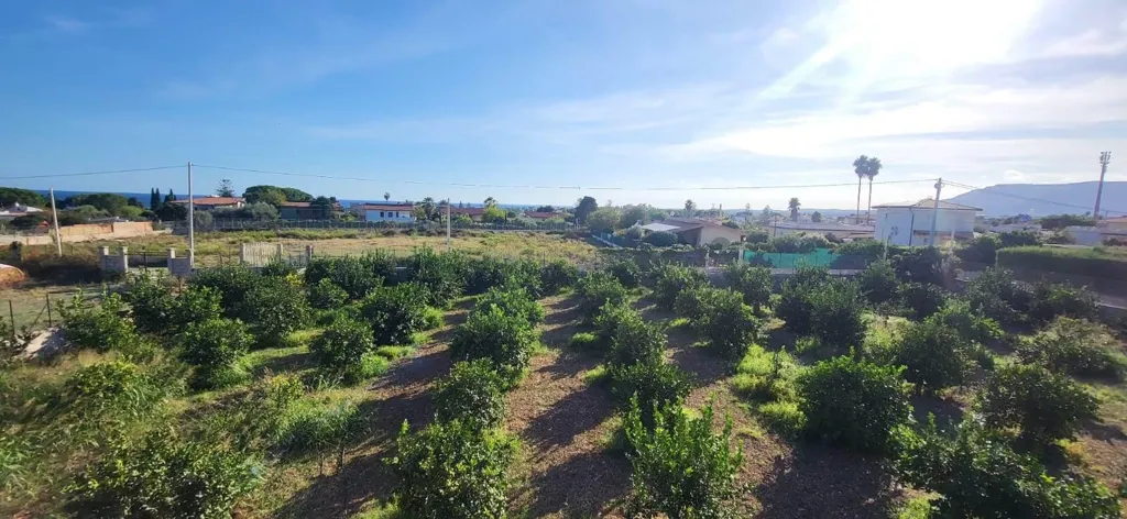 Garten - Villa with Lemon Trees near Fontane Bianche, Siracusa