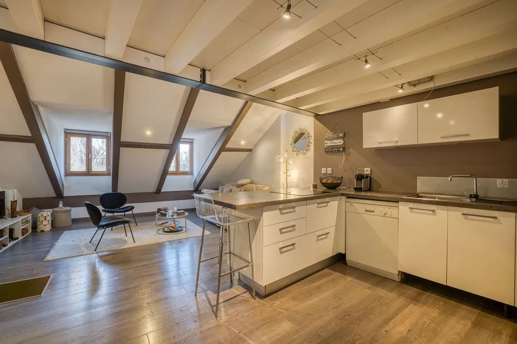 Cuisine - Appartement Loft dans le Vieux-Annecy