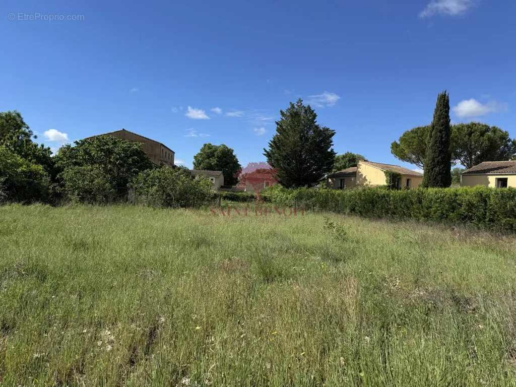Giardino - Buildable Plot with Garden in Aniane Centre