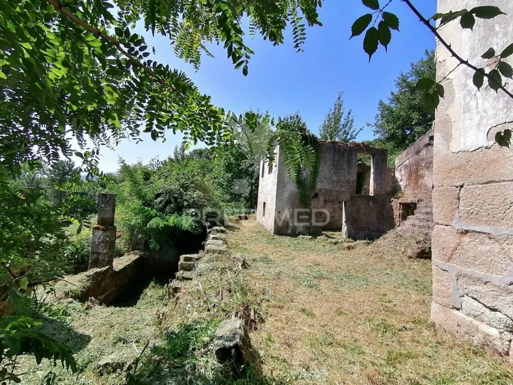 Jardin - Rural Quinta with Olive Trees in Pala