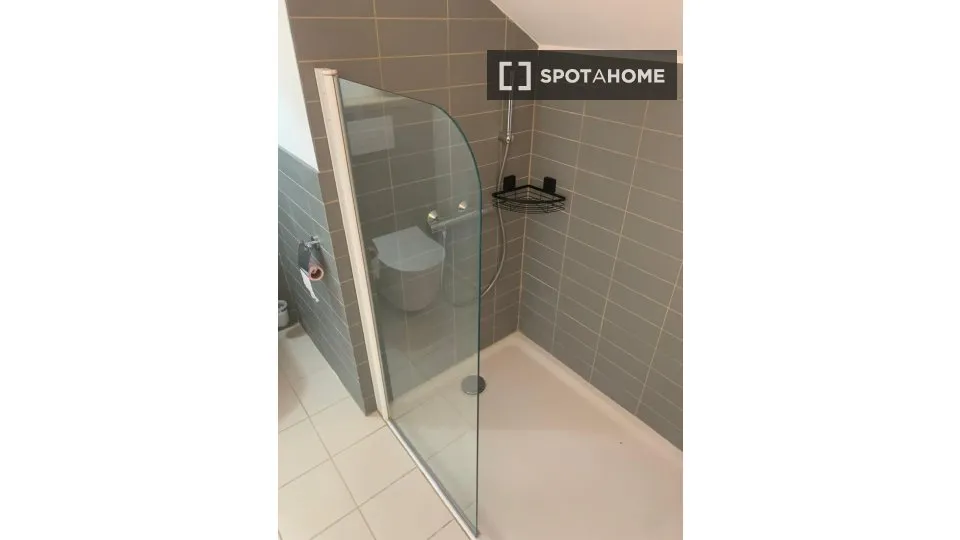 Salles de bain - Chambre à Louer dans Appartement 3 Pièces à Paris