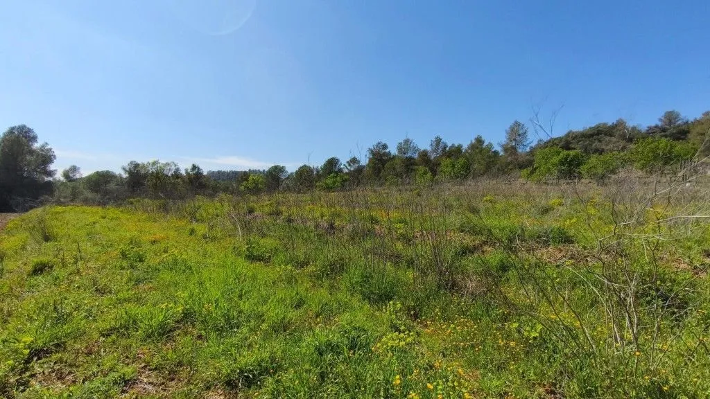 Aed - Boutique Vineyard with Winery in Priorat