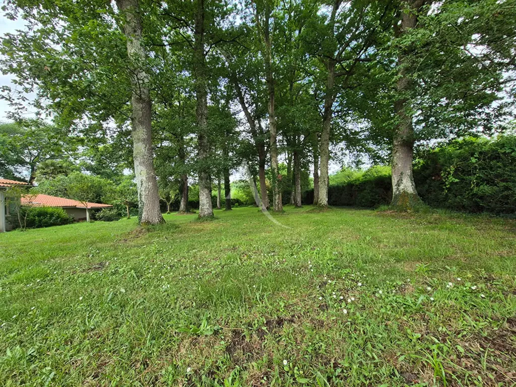 Giardino - Charming House with Pool in Landes Countryside