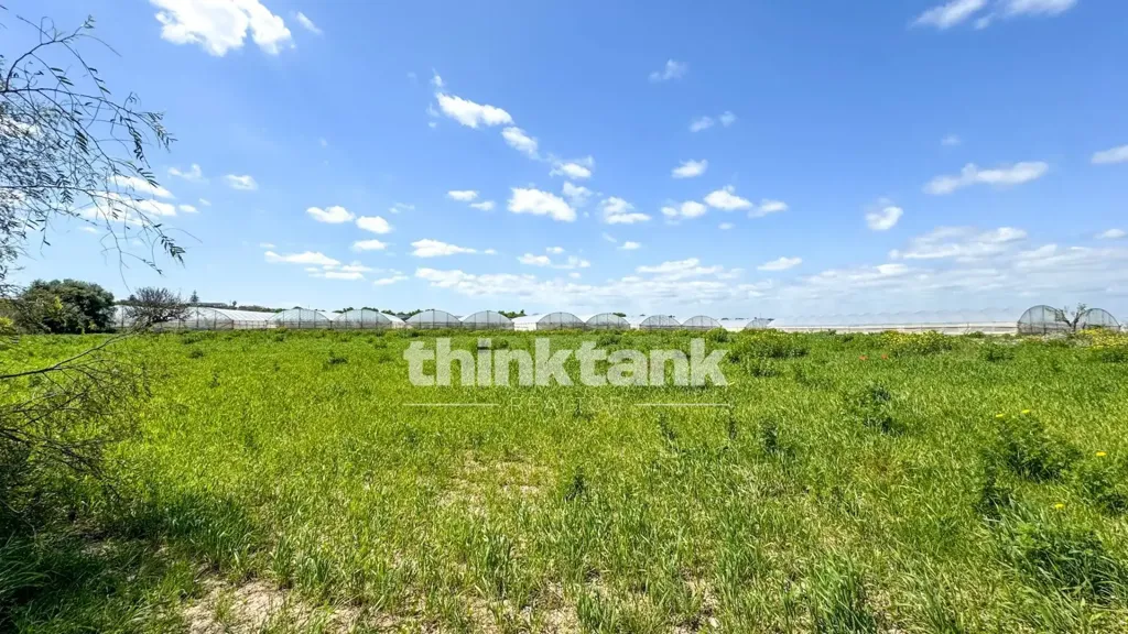 Jardin - Rustic Farmhouse with Sea Proximity in Noto