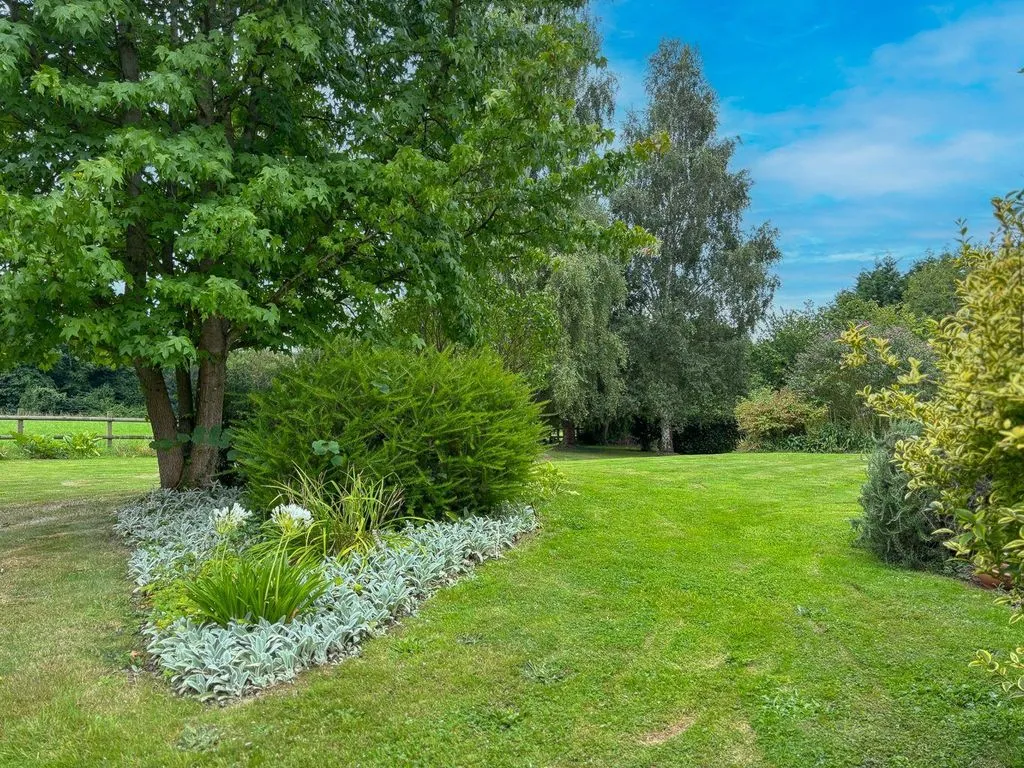 garden