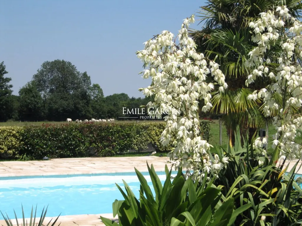 pool_area