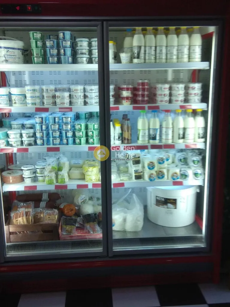 Pièces - Dairy Business with Refrigeration in Kallithea