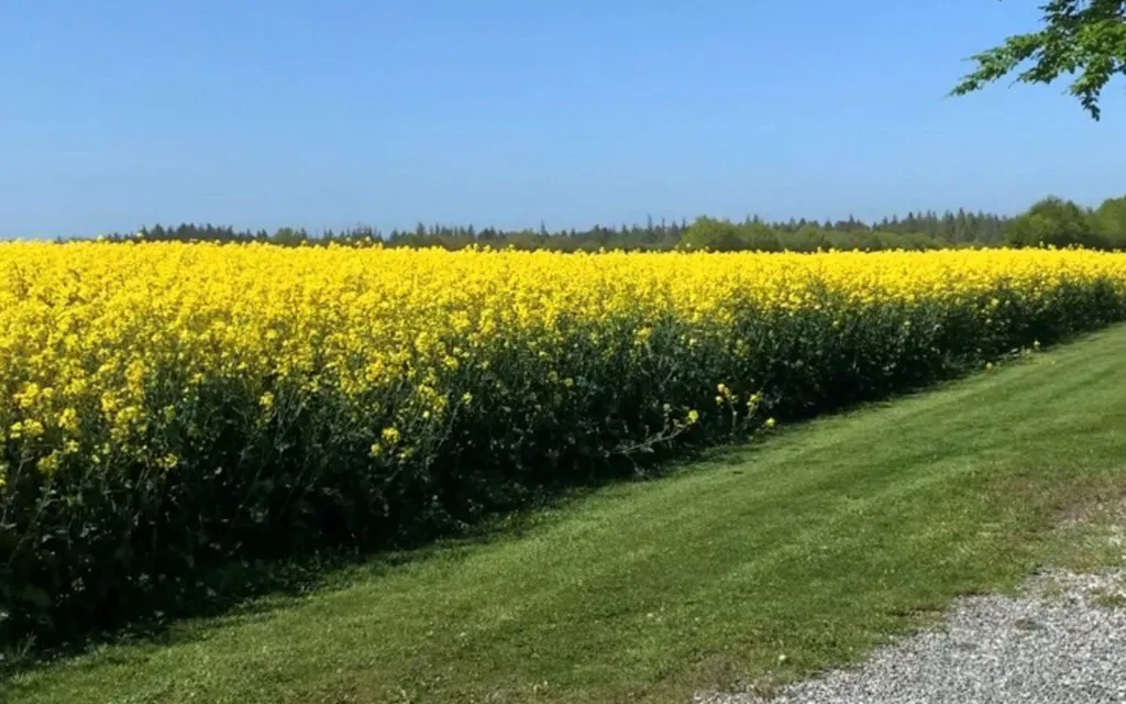 6-toaline maja asukohas Grenaa