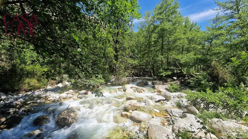 3-Bed Flat with Mountain View in Bocognano