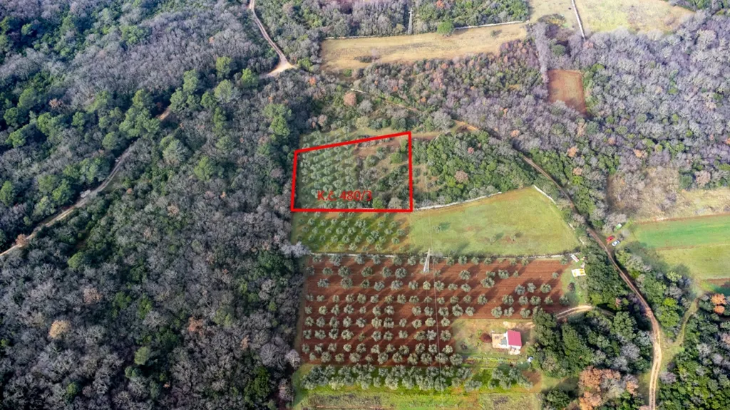 Aerial - Olive Grove Land in Fondole, Istria