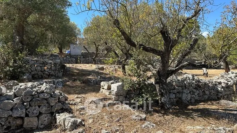 Jardin - Rustic Casale with Pool in Ostuni