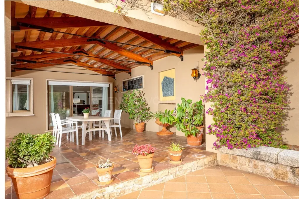 terrace_patio