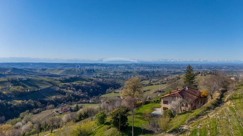 Aed - Casale with Vigneto in Mango, Langhe