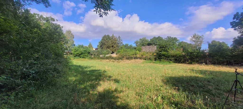 Jardin - Terrain à Bâtir Plat à Coyac près du Puy-en-Velay