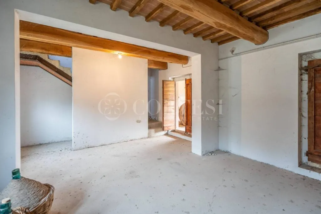 Toad - Historic Villa with Private Garden in Perugia