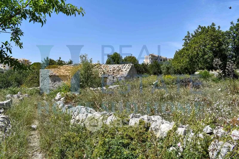 Garden - Rustic Cottage with Olive Grove in Modica
