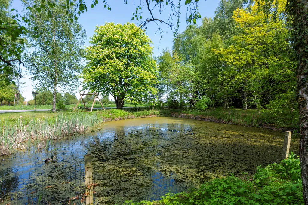 Garden - Villa with Extensive Grounds in Tessebølle