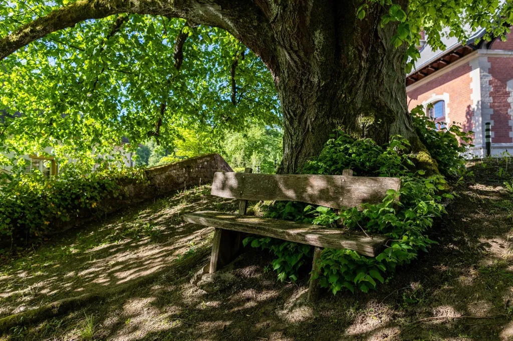 Giardino - Maison Jumelée with Forest View in Hostert