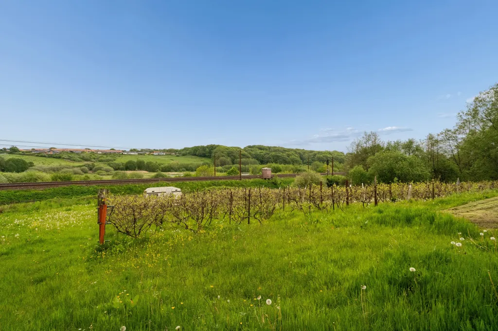 Jardin - Villa with Vineyards in Nørre Bjert