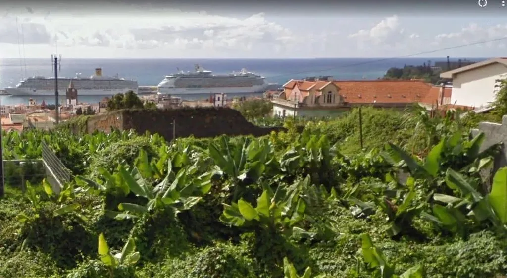 Luxury Flat with Sea View in Funchal