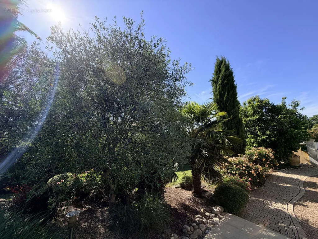 Maison 5 pièces à Villefranche-Sur-Saone