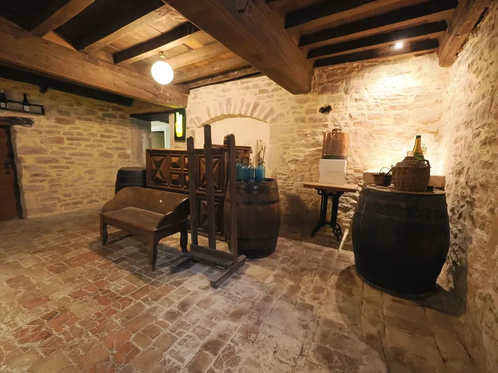 Toad - Historic Maison with Pool in Tournus