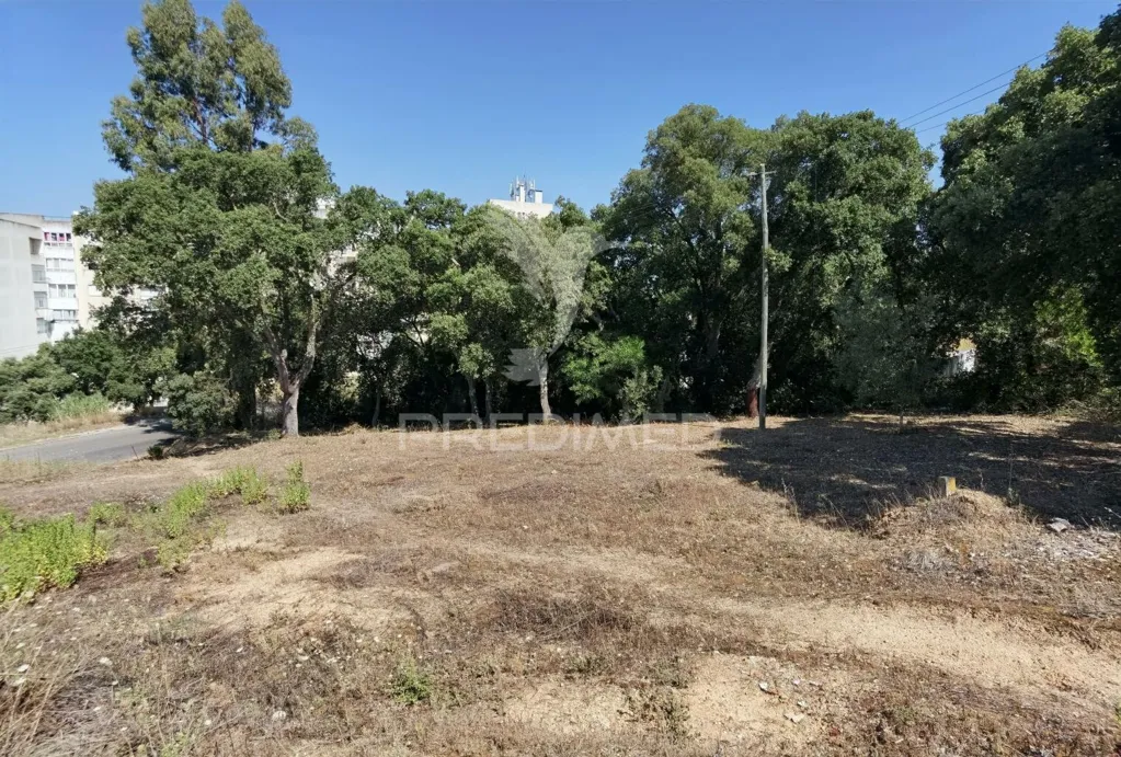 Aed - Approved Luxury Home Project in Santarém
