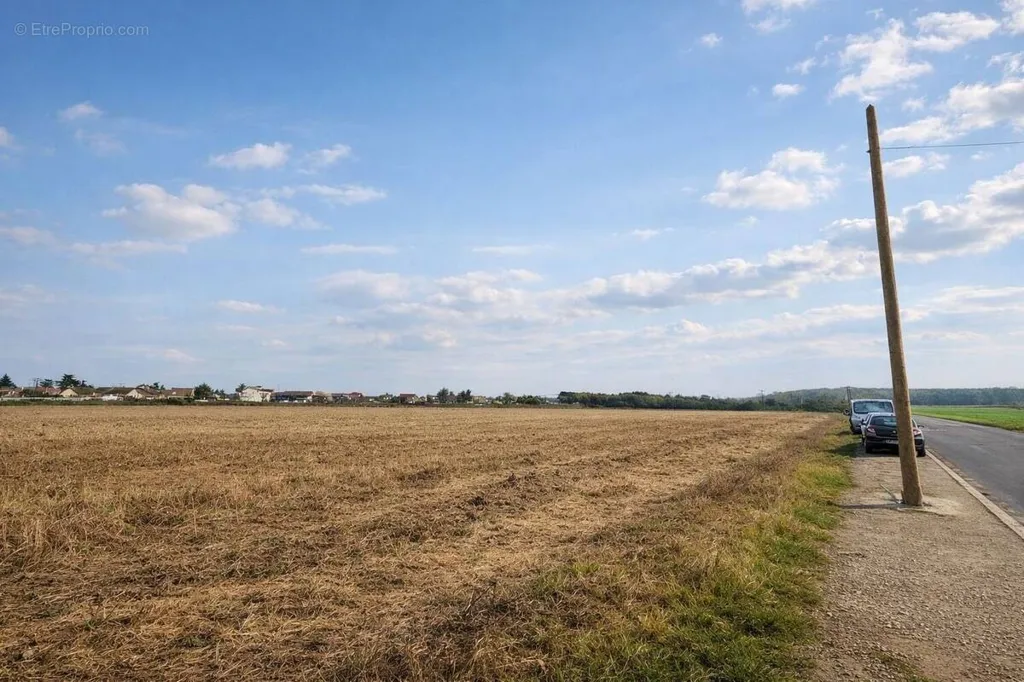 Jardin - Terrain à Bâtir Viabilisé à Boissise-le-Roi