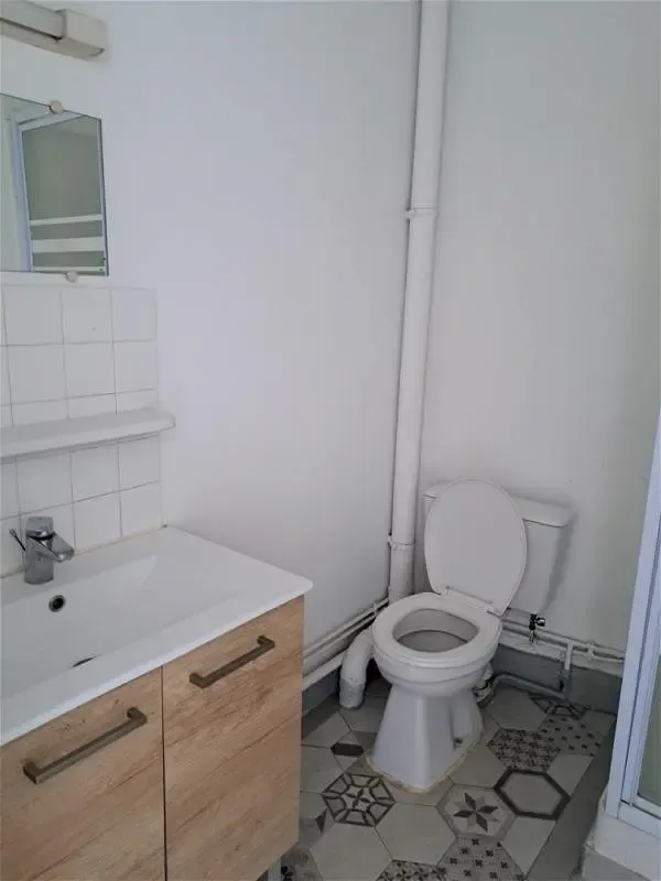 Salles de bain - Appartement 2 Pièces au Centre de Romans-sur-Isère