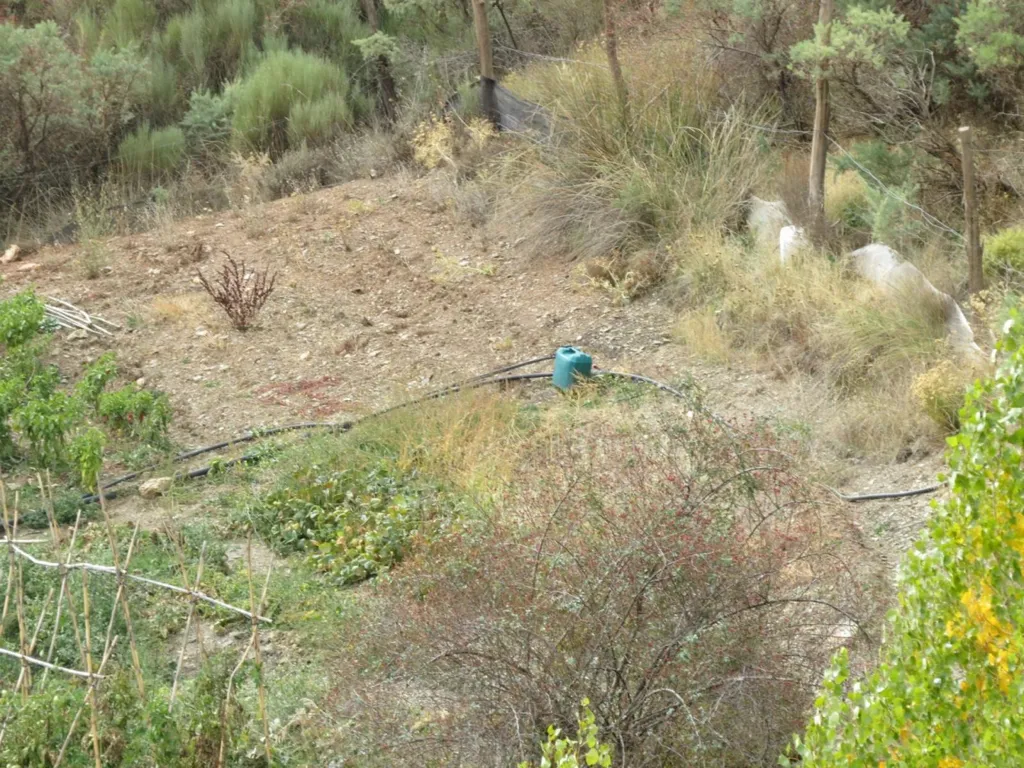 Giardino - High-Quality Mountain Cortijo with Spring in Válor