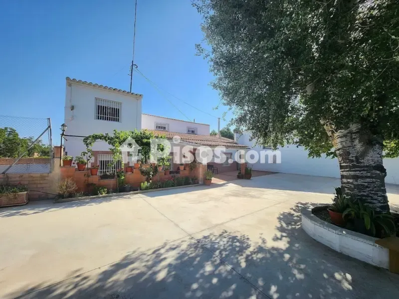 Exterior - Rustic Finca with Pool in Villena