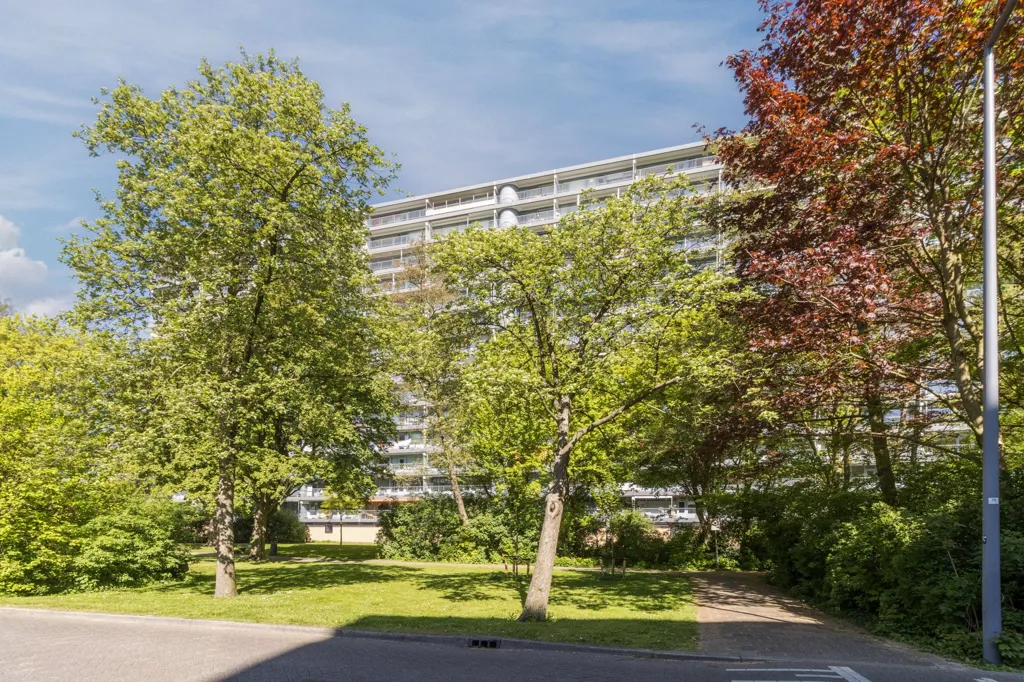 3-toaline korter asukohas Rotterdam