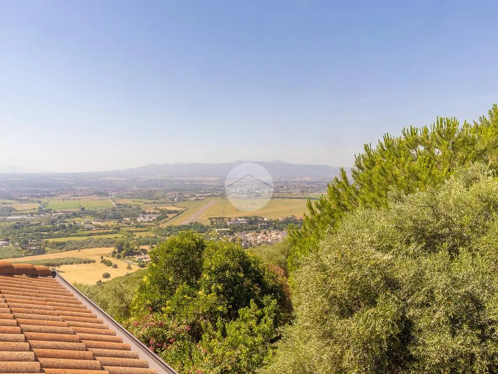 Jardin - Versatile Villa with Olive Grove in Guidonia Montecelio