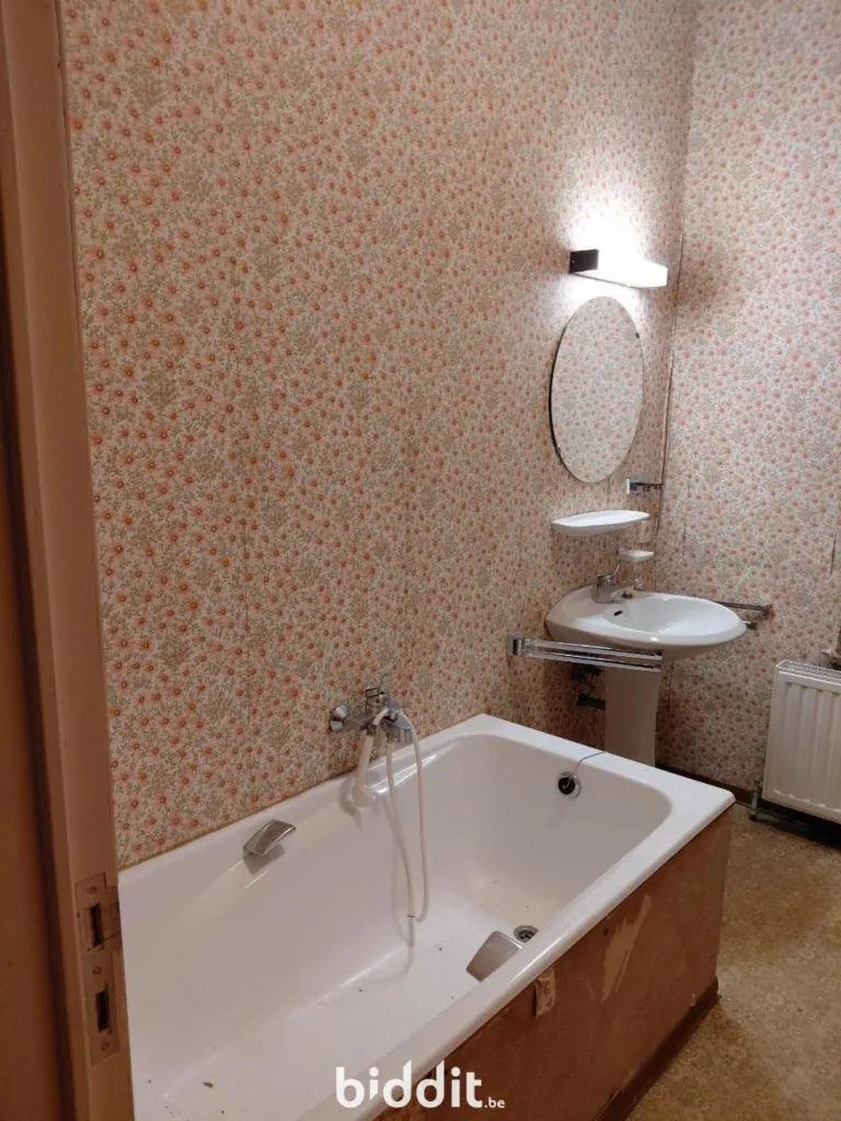 Vannitoad - Renovatable House with Garden in Chassé