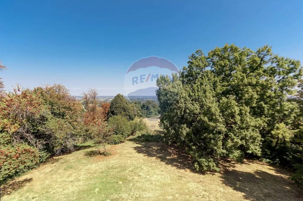 Aed - Historic Villa with Private Park in Valsamoggia