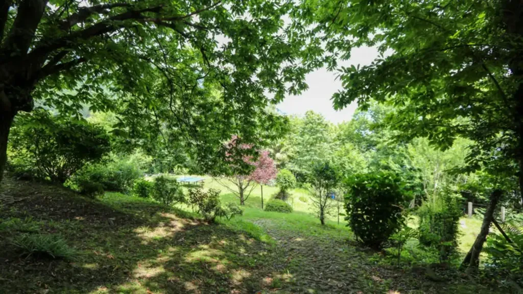 garden