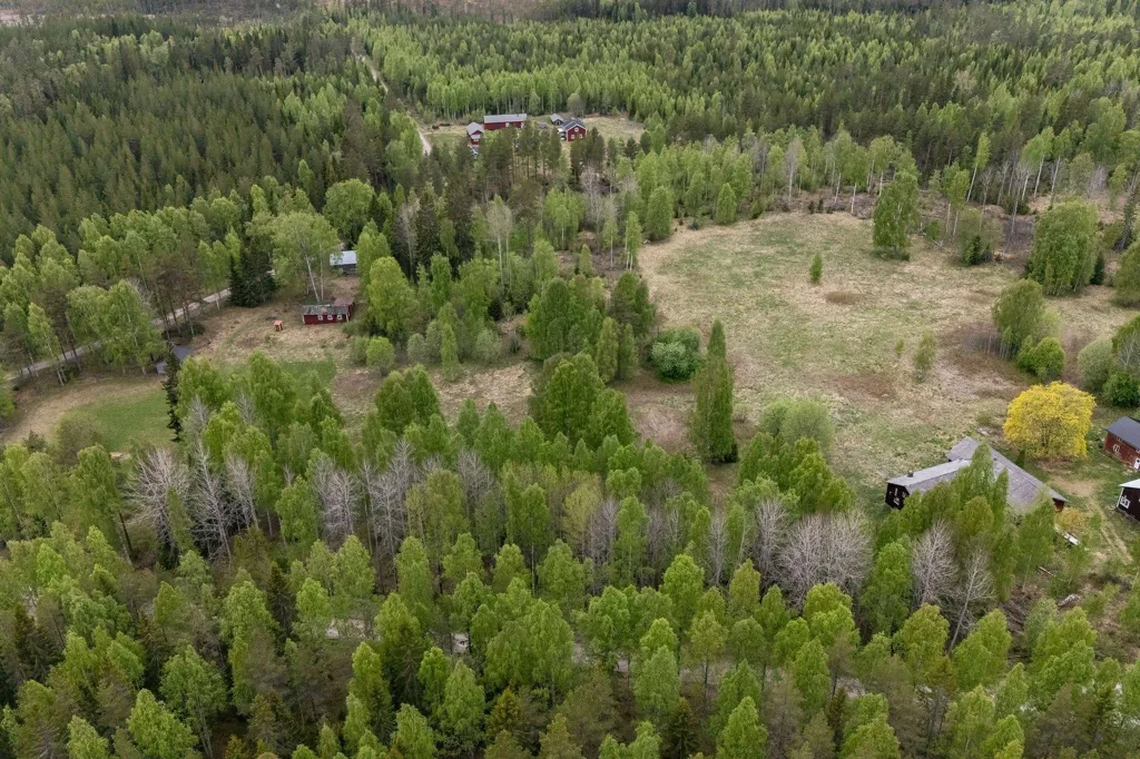 Vue aérienne - Forest Property with Timber in Ljusdal