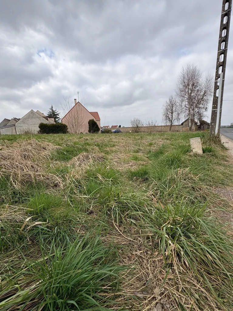 Jardin - Maison Neuve avec Terrain à Thorigny-sur-Marne