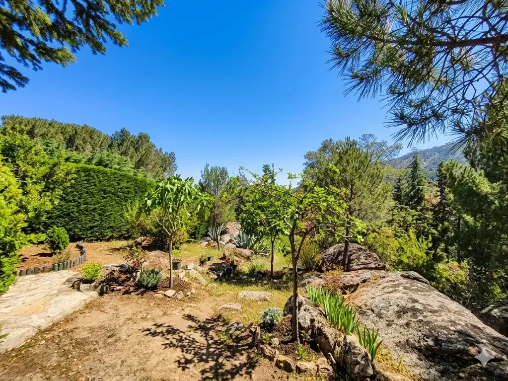 Jardin - Chalet with Pool and Terrace in Robledo de Chavela
