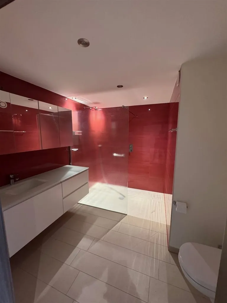 Bathrooms - Penthouse with Terraces in Pleasant Environment