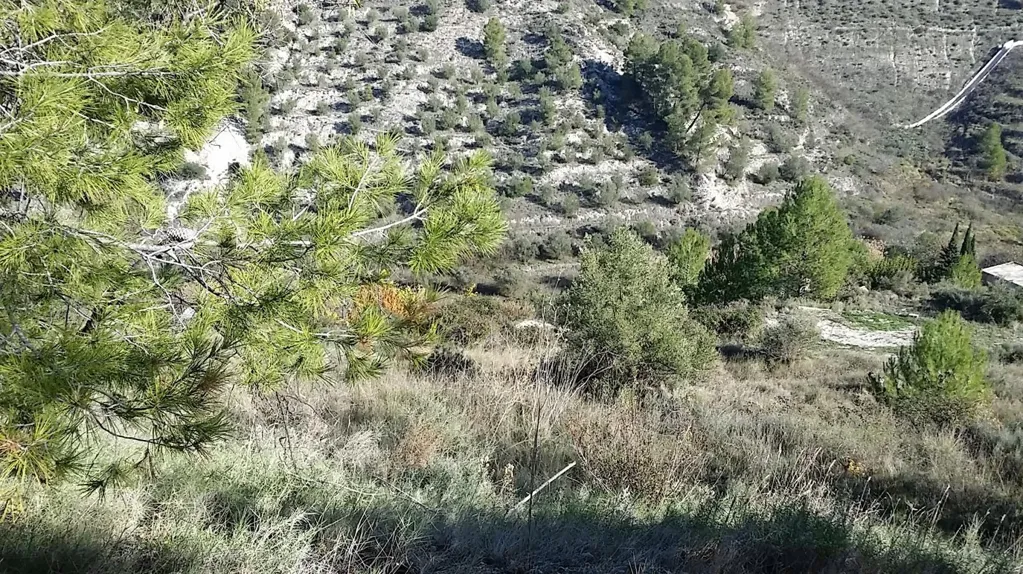 Aed - Terraced House in Alcoy with Garden