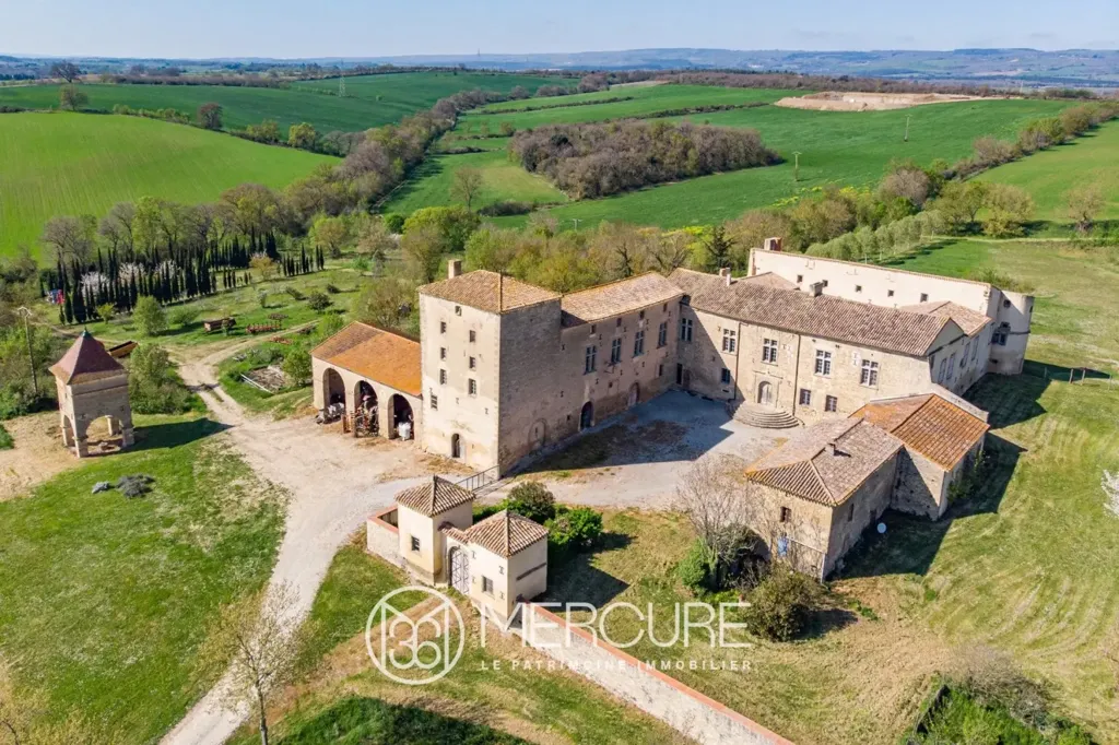 Vista aerea - Restored Medieval Château with Pyrenees View